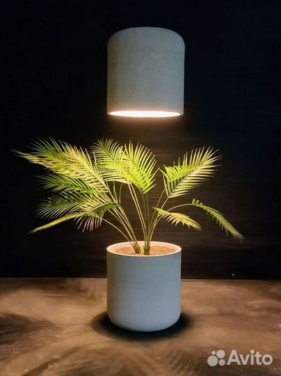 Вазоны, Горшки, Кашпо под заказ из бетона