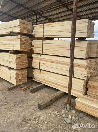 Лес кругляк береза, береза, осина