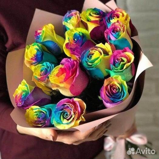 Букет радужных роз, Эквадор, 60см 31 шт
