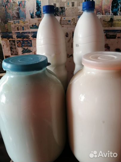 Домашний адыгейский сыр