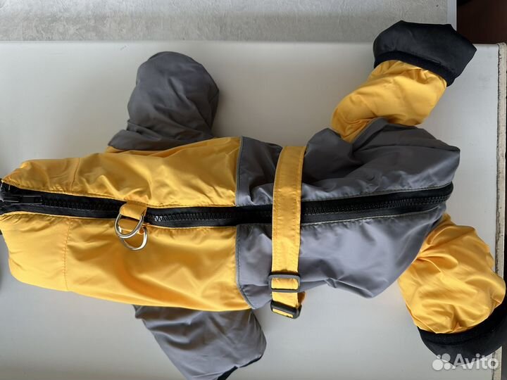 Одежда для собак мелких пород