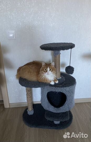 Кошачий домик с когтеточкой