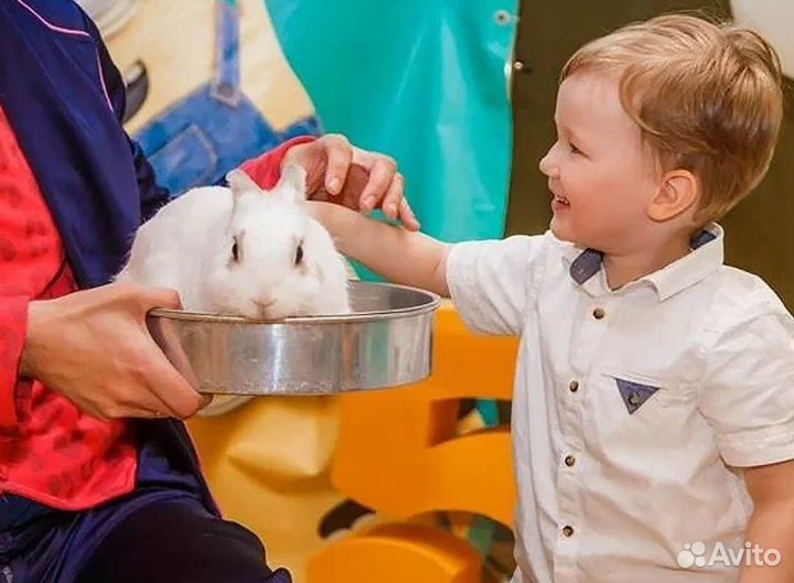 Аниматор и Иллюзион шоу в Красноярске