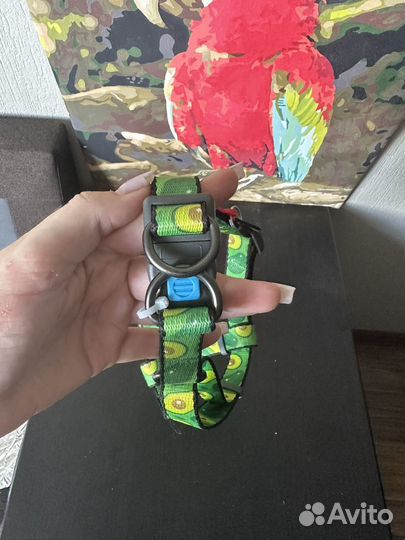 Нлвая Шлейка для собак средних пород