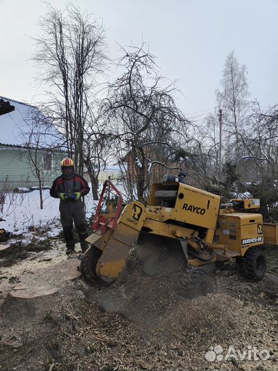 Валка деревьев, обрезка, спил, удаление пней