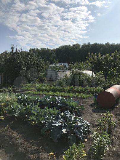 Участок 4,5 сот. (СНТ, ДНП)