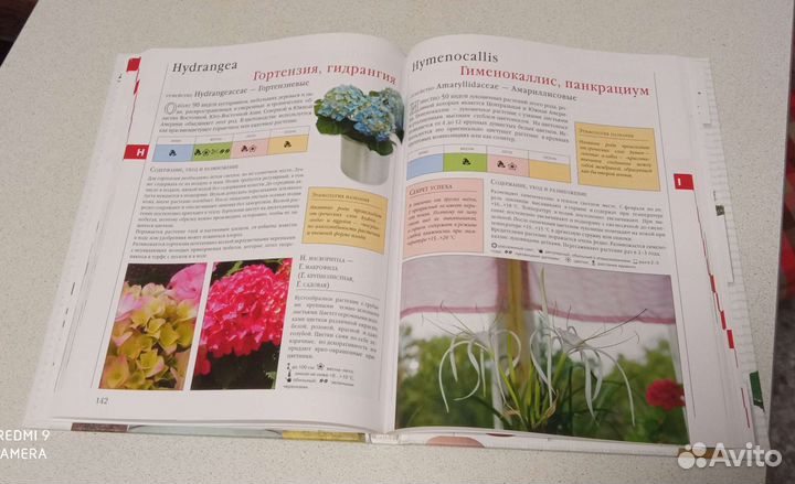 Библия комнатных растений