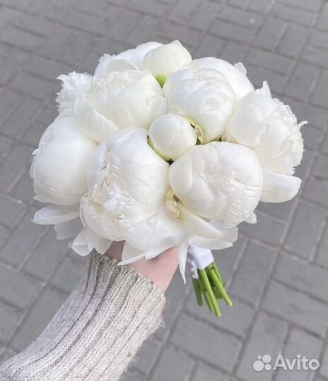 Букет пионов белых