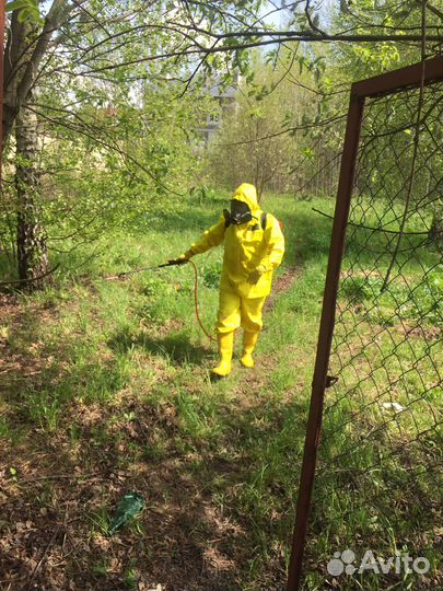 Клопы тараканы уничтожение