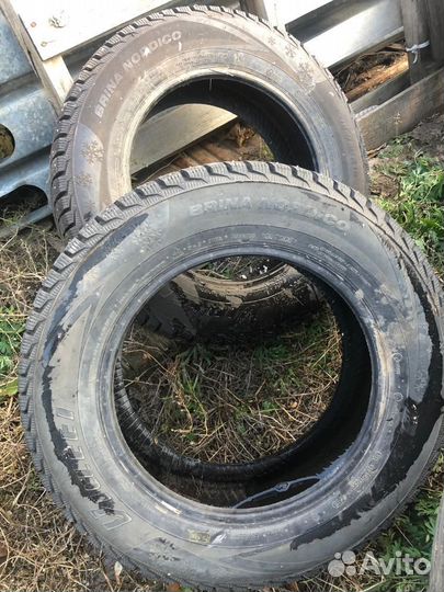 Viatti Brina Nordico V-522 195/65 R15 91