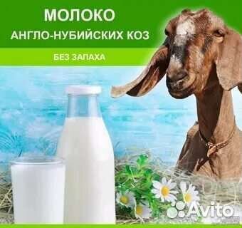 Козье молоко