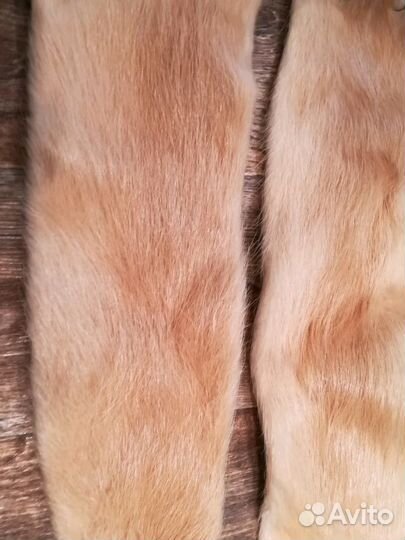 Шкурка животного