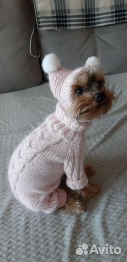 Одежда для собак