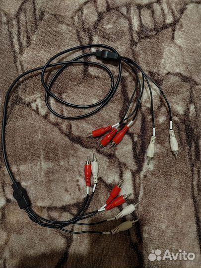 Тюльпаны провода