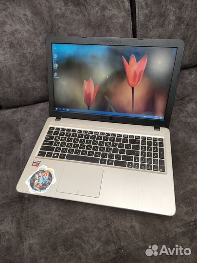 Свежий мощный для учебы 4ядра 4 гига 500gb