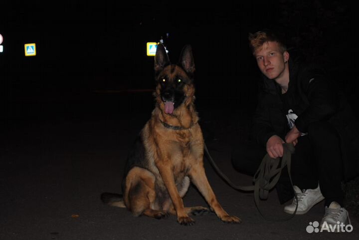 Свадебный фотограф