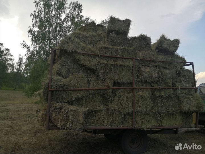 Сено в тюках