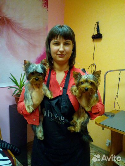 Стрижка собак и кошек салон 