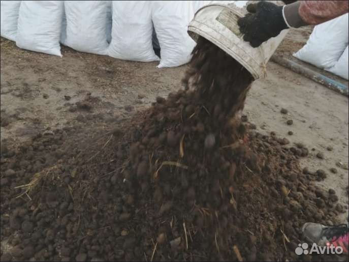 Опилки с конским навозом (конская подстилка) 50 ли