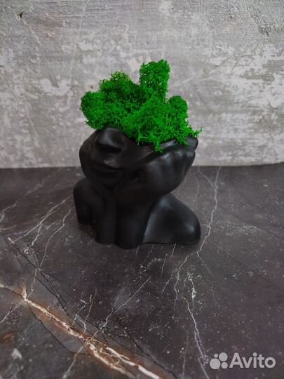 Кашпо со стабилизированным мхом