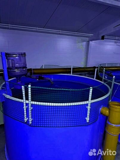 Оборудование для узв