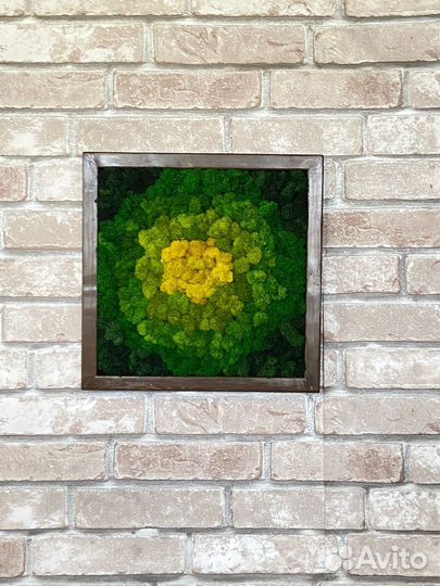 Мох стабилизированный оптом и в розницу