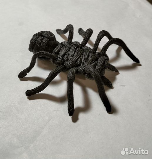 Паук из паракорда