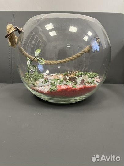 Терарриум-аквариум