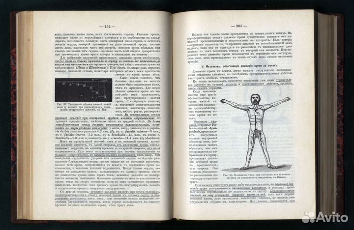 Tigerstedt. Учебник Физиологии Человека. 1901 годъ