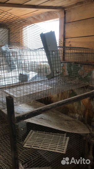 Клетка для кролика