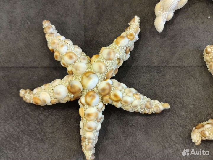 Морские звёзды