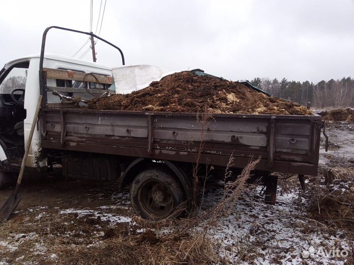 Навоз коровий