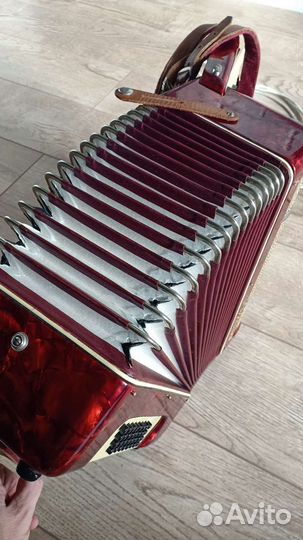 Аккордеон