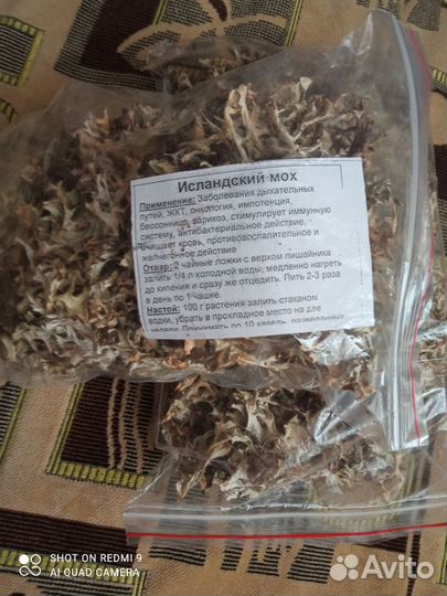 Исландский мох