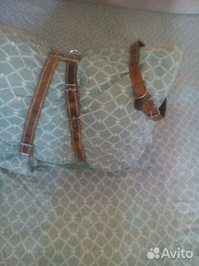 Шлейка для крупных пород собак