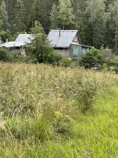 Участок 1,3 га (СНТ, ДНП)