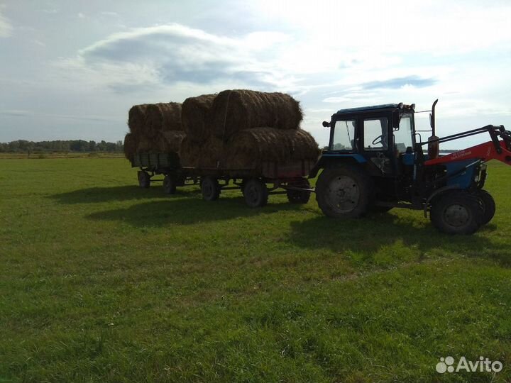 Продам сено в рулонах