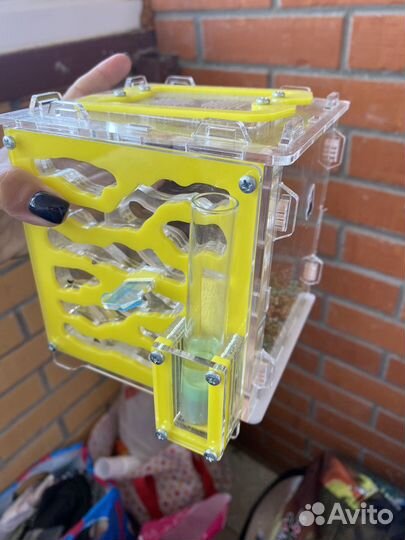 Ферма для муравьев