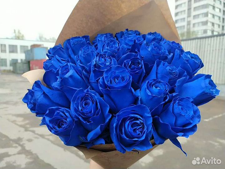 Розы, синие розы 25 шт