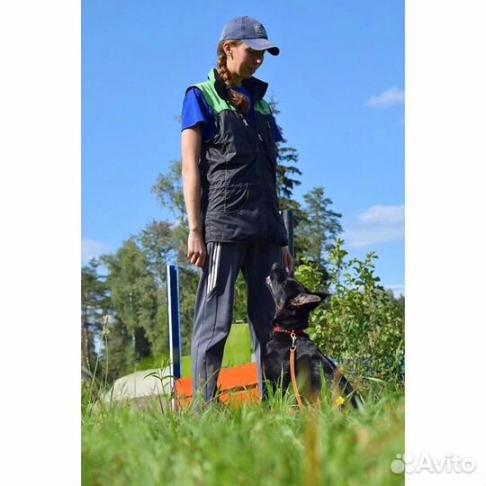 Передержка и дрессировка собак