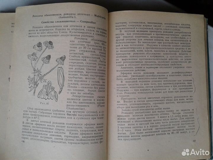 Лекарственные растения