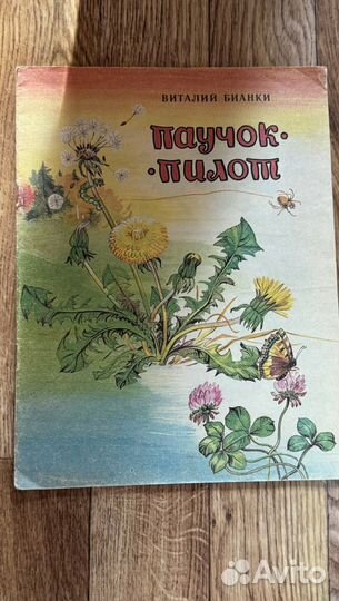 Паучок пилот