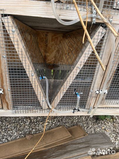 Клетка для кролика