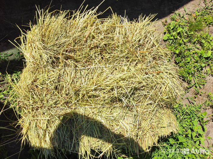 Сено луговое в тюках