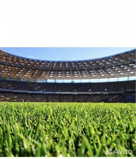 Трава смесь спортивная