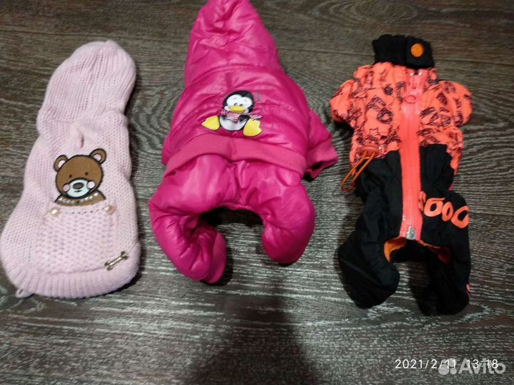 Одежда для животных