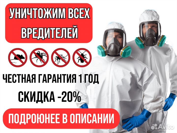 Уничтожение насекомых, грызунов, вирусов