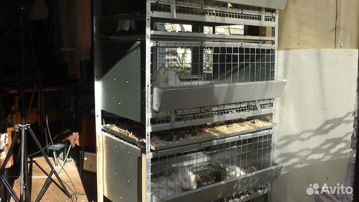 Брудер (клетка) для бройлеров, цыплят, кур