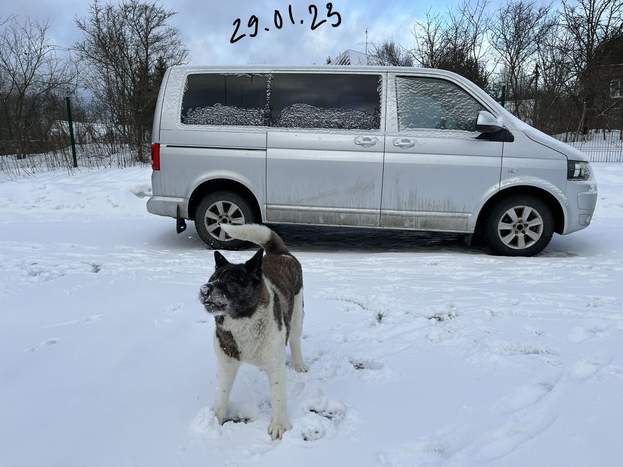 Volkswagen Multivan: фото владельца