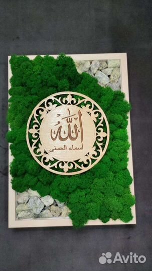 Картины из стабилизированного мха 